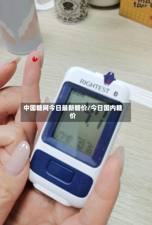 中国糖网今日最新糖价/今日国内糖价