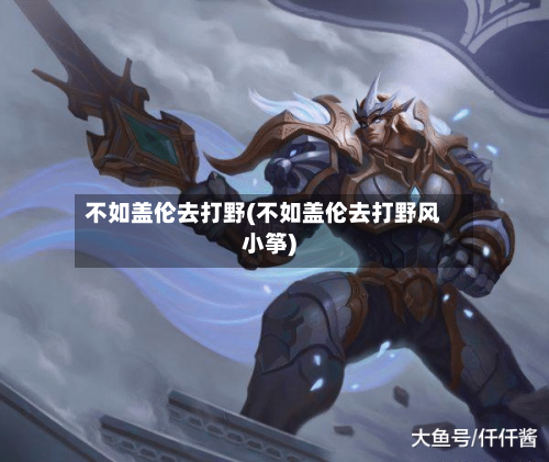 不如盖伦去打野(不如盖伦去打野风小筝)