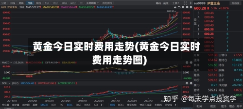 黄金今日实时费用走势(黄金今日实时费用走势图)