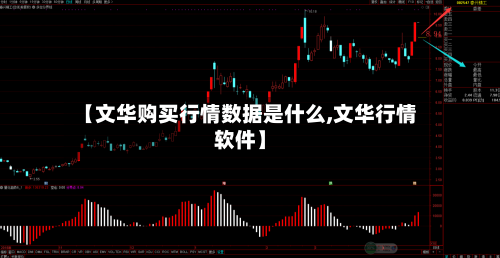 【文华购买行情数据是什么,文华行情软件】