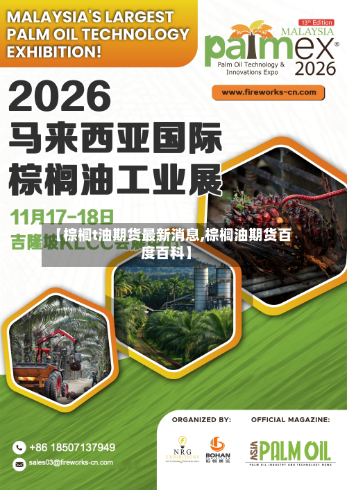 【棕榈t油期货最新消息,棕榈油期货百度百科】