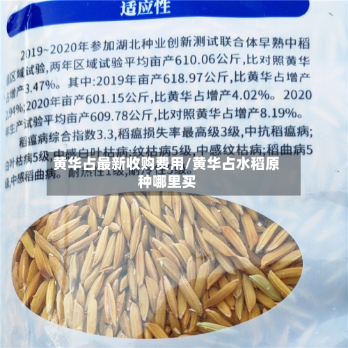黄华占最新收购费用/黄华占水稻原种哪里买