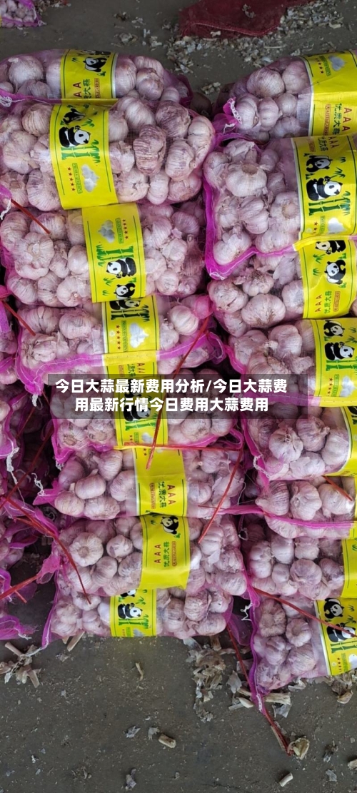 今日大蒜最新费用分析/今日大蒜费用最新行情今日费用大蒜费用