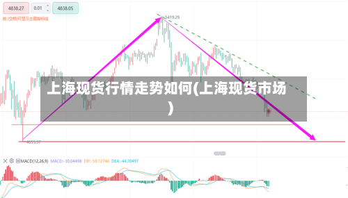 上海现货行情走势如何(上海现货市场)