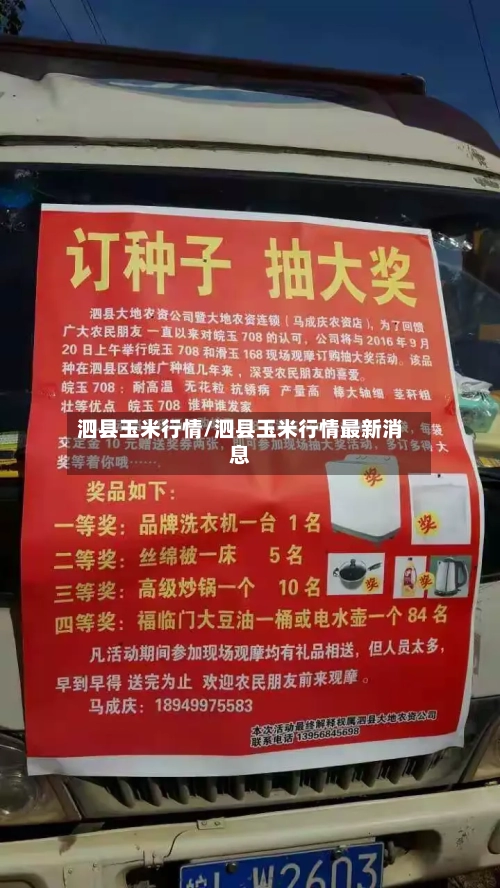 泗县玉米行情/泗县玉米行情最新消息