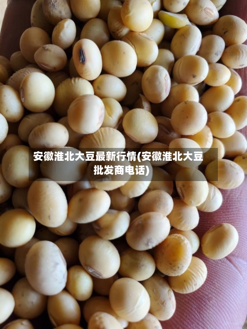 安徽淮北大豆最新行情(安徽淮北大豆批发商电话)