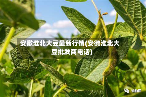 安徽淮北大豆最新行情(安徽淮北大豆批发商电话)-第3张图片