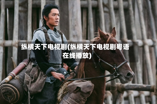 纵横天下电视剧(纵横天下电视剧粤语在线播放)