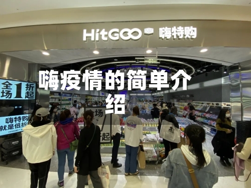 嗨疫情的简单介绍