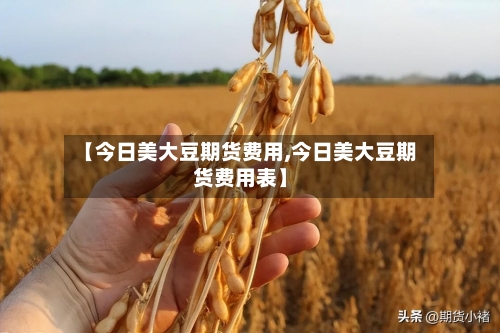 【今日美大豆期货费用,今日美大豆期货费用表】