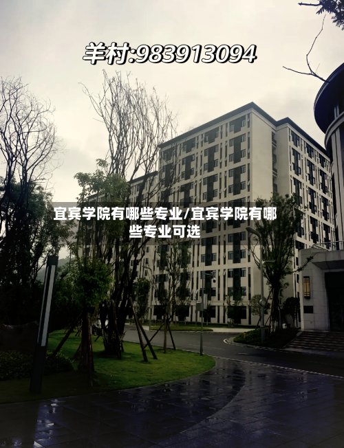 宜宾学院有哪些专业/宜宾学院有哪些专业可选