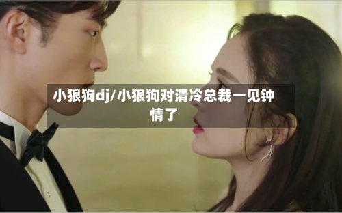 小狼狗dj/小狼狗对清冷总裁一见钟情了-第2张图片