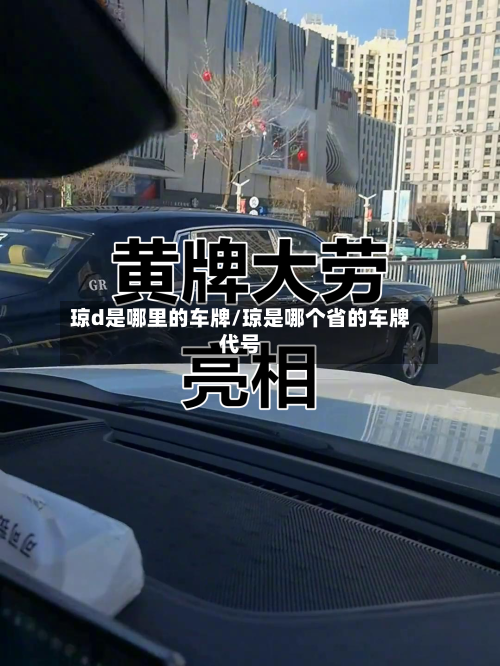 琼d是哪里的车牌/琼是哪个省的车牌代号