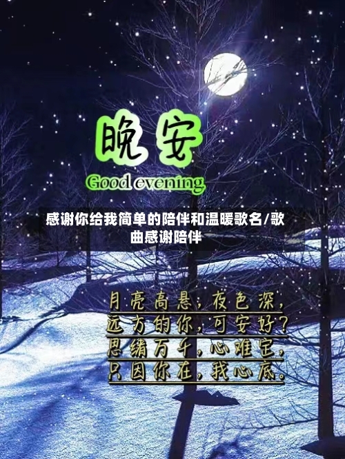 感谢你给我简单的陪伴和温暖歌名/歌曲感谢陪伴-第2张图片