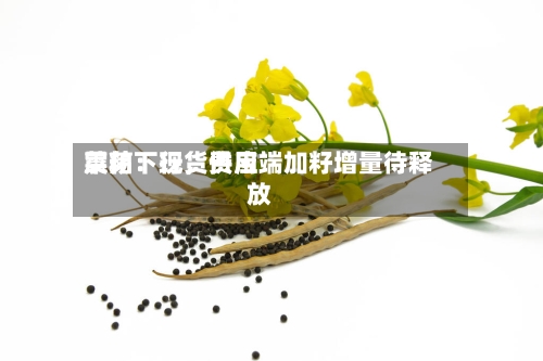 菜粕：现货费用震荡下行，供应端加籽增量待释放