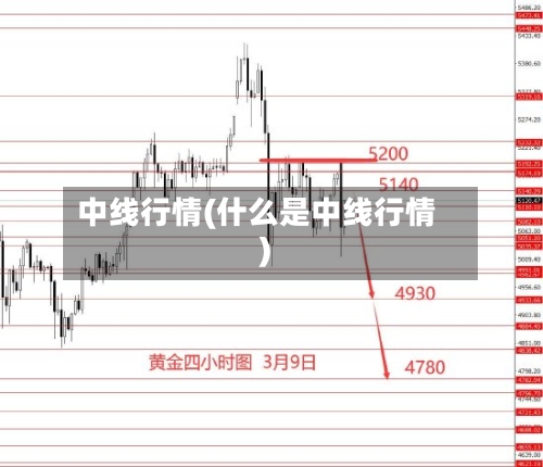 中线行情(什么是中线行情)