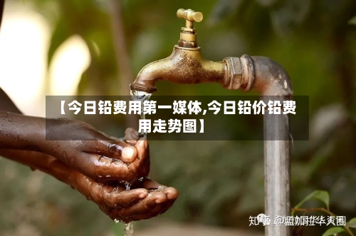 【今日铅费用第一媒体,今日铅价铅费用走势图】-第2张图片