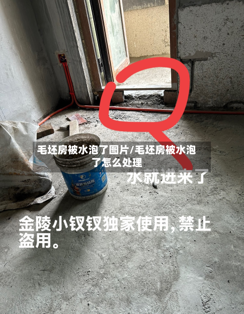 毛坯房被水泡了图片/毛坯房被水泡了怎么处理-第2张图片