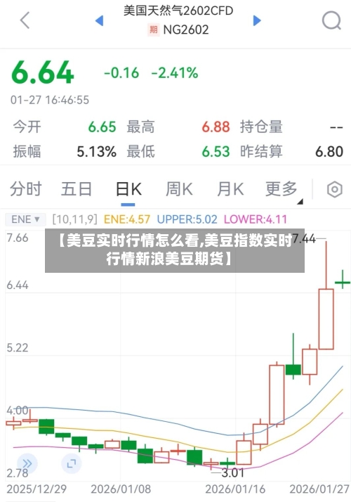 【美豆实时行情怎么看,美豆指数实时行情新浪美豆期货】