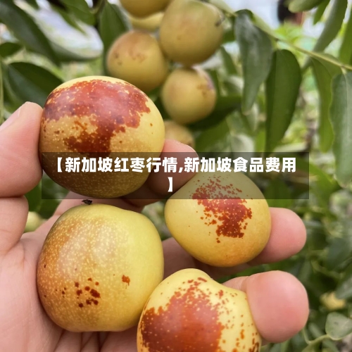 【新加坡红枣行情,新加坡食品费用】