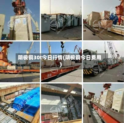 阴极铜30t今日行情(阴极铜今日费用)-第3张图片