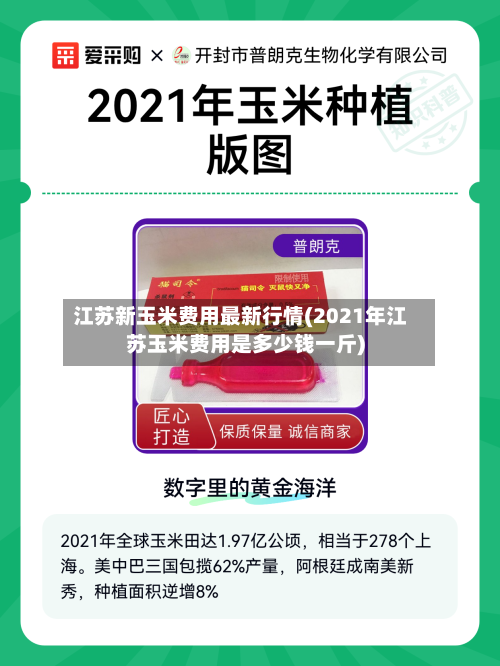 江苏新玉米费用最新行情(2021年江苏玉米费用是多少钱一斤)-第2张图片