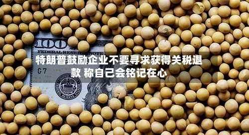 特朗普鼓励企业不要寻求获得关税退款 称自己会铭记在心-第1张图片