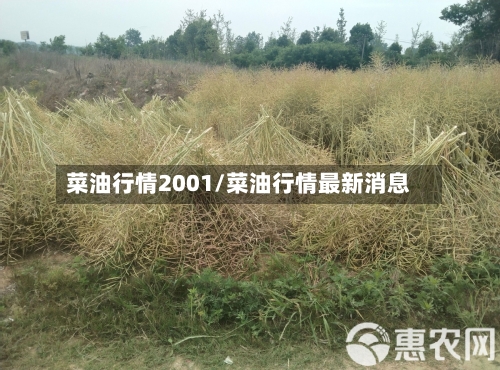 菜油行情2001/菜油行情最新消息-第2张图片