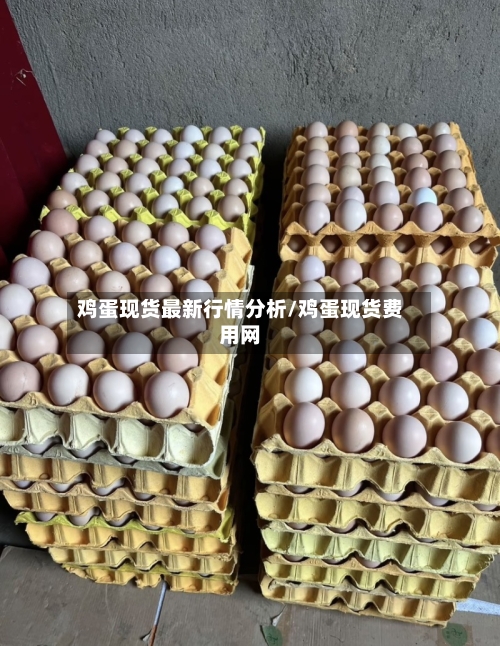 鸡蛋现货最新行情分析/鸡蛋现货费用网-第3张图片