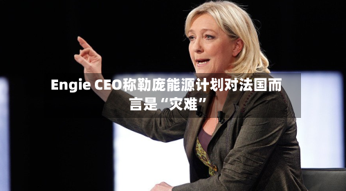 Engie CEO称勒庞能源计划对法国而言是“灾难”-第2张图片
