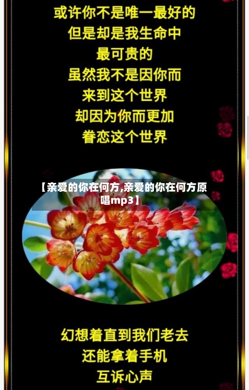 【亲爱的你在何方,亲爱的你在何方原唱mp3】-第3张图片