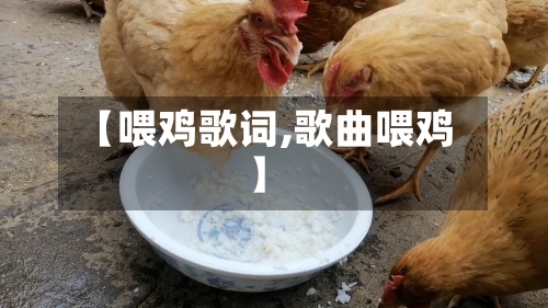 【喂鸡歌词,歌曲喂鸡】-第3张图片
