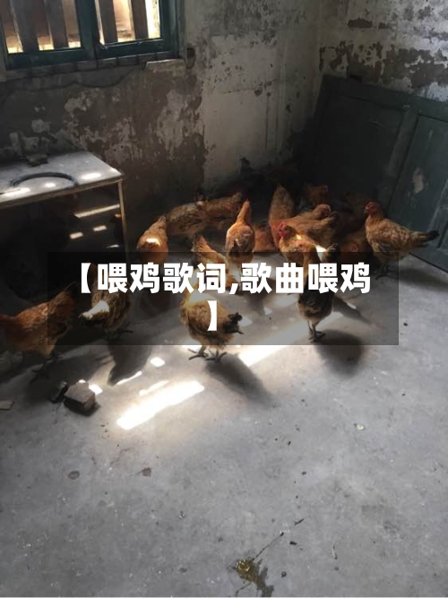 【喂鸡歌词,歌曲喂鸡】-第1张图片