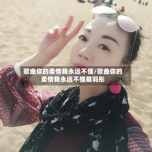 歌曲你的柔情我永远不懂/歌曲你的柔情我永远不懂戴羽彤-第2张图片