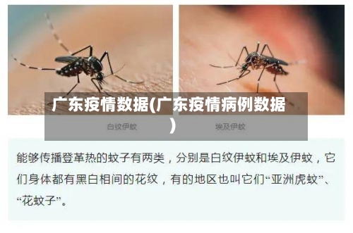 广东疫情数据(广东疫情病例数据)-第1张图片