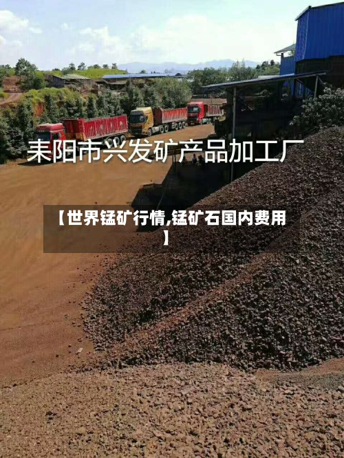 【世界锰矿行情,锰矿石国内费用】-第1张图片