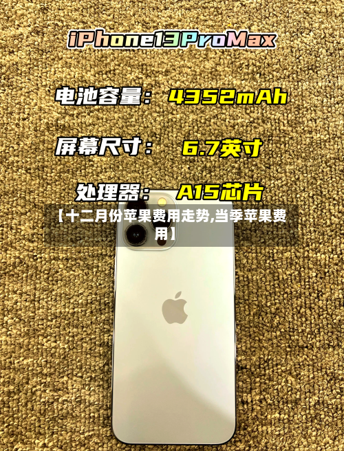 【十二月份苹果费用走势,当季苹果费用】-第1张图片