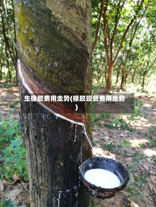 生橡胶费用走势(橡胶现货费用走势)-第1张图片