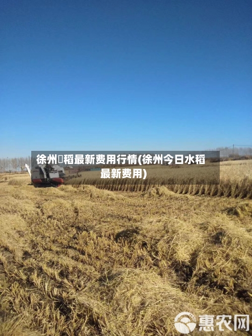 徐州稉稻最新费用行情(徐州今日水稻最新费用)-第1张图片