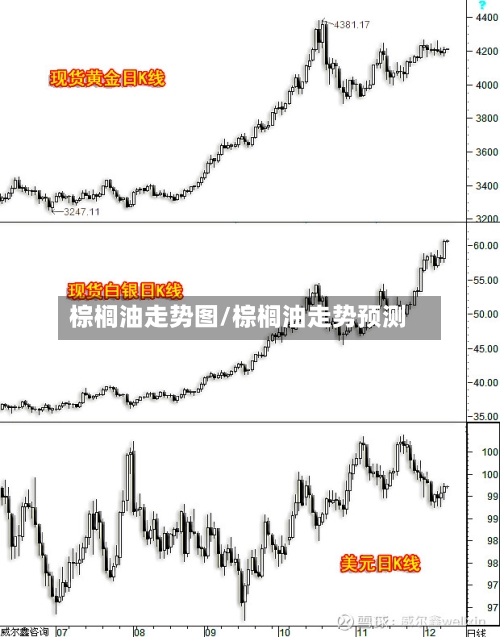 棕榈油走势图/棕榈油走势预测-第3张图片