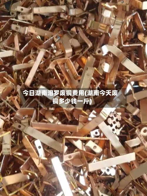 今日湖南泪罗废铜费用(湖南今天废铜多少钱一斤)-第1张图片