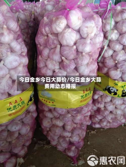 今日金乡今日大蒜价/今日金乡大蒜费用动态播报-第3张图片