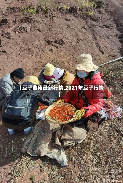 【豆子费用最新行情,2021年豆子行情】-第3张图片