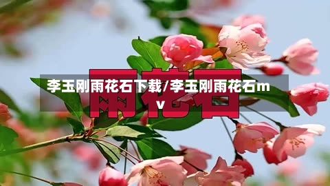 李玉刚雨花石下载/李玉刚雨花石mv-第1张图片