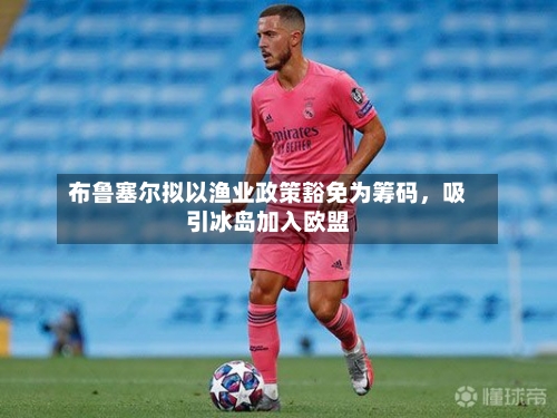 布鲁塞尔拟以渔业政策豁免为筹码，吸引冰岛加入欧盟-第2张图片