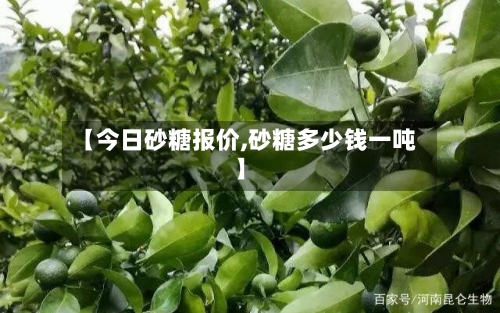 【今日砂糖报价,砂糖多少钱一吨】-第1张图片