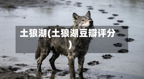 土狼湖(土狼湖豆瓣评分)-第1张图片