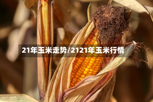 21年玉米走势/2121年玉米行情-第1张图片