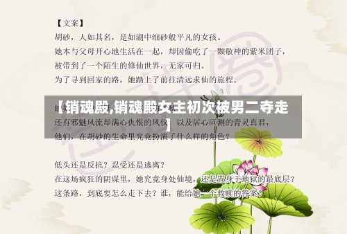 【销魂殿,销魂殿女主初次被男二夺走】-第1张图片