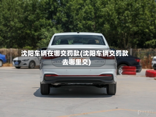 沈阳车辆在哪交罚款(沈阳车辆交罚款去哪里交)-第2张图片